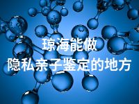 琼海能做隐私亲子鉴定的地方