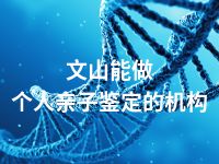 文山能做个人亲子鉴定的机构