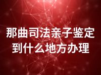 那曲司法亲子鉴定到什么地方办理