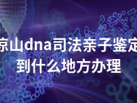 凉山dna司法亲子鉴定到什么地方办理