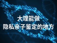 大理能做隐私亲子鉴定的地方