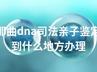 那曲dna司法亲子鉴定到什么地方办理