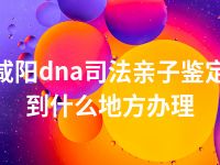 咸阳dna司法亲子鉴定到什么地方办理