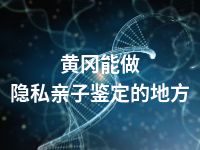 黄冈能做隐私亲子鉴定的地方