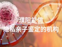 濮阳能做隐私亲子鉴定的机构