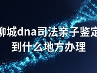 聊城dna司法亲子鉴定到什么地方办理