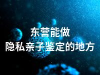 东营能做隐私亲子鉴定的地方
