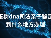 玉树dna司法亲子鉴定到什么地方办理