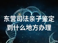东营司法亲子鉴定到什么地方办理