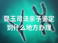 昆玉司法亲子鉴定到什么地方办理