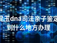 昆玉dna司法亲子鉴定到什么地方办理
