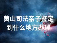 黄山司法亲子鉴定到什么地方办理