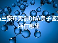乌兰察布无创DNA亲子鉴定所在哪里