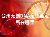 台州无创DNA亲子鉴定所在哪里