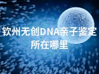 钦州无创DNA亲子鉴定所在哪里