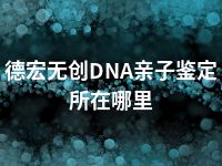 德宏无创DNA亲子鉴定所在哪里