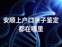 安顺上户口亲子鉴定都在哪里