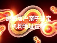 那曲落户亲子鉴定机构地址在哪