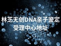 林芝无创DNA亲子鉴定受理中心地址