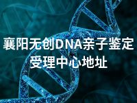 襄阳无创DNA亲子鉴定受理中心地址