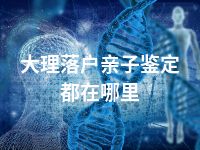 大理落户亲子鉴定都在哪里