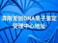 渭南无创DNA亲子鉴定受理中心地址