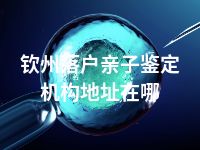 钦州落户亲子鉴定机构地址在哪