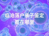临沧落户亲子鉴定都在哪里
