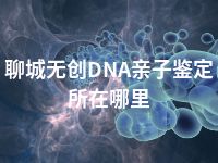 聊城无创DNA亲子鉴定所在哪里