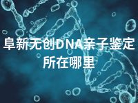 阜新无创DNA亲子鉴定所在哪里