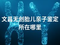 文昌无创胎儿亲子鉴定所在哪里