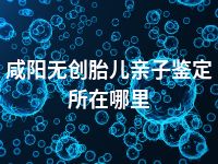 咸阳无创胎儿亲子鉴定所在哪里
