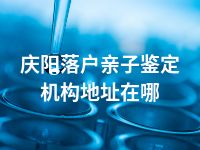 庆阳落户亲子鉴定机构地址在哪