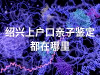 绍兴上户口亲子鉴定都在哪里