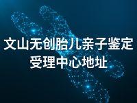 文山无创胎儿亲子鉴定所在哪里