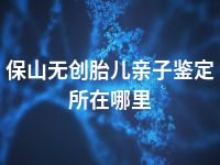 保山无创胎儿亲子鉴定所在哪里