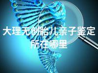 大理无创胎儿亲子鉴定所在哪里