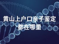 黄山上户口亲子鉴定都在哪里