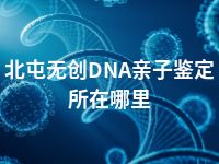 北屯无创DNA亲子鉴定所在哪里
