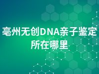 亳州无创DNA亲子鉴定所在哪里