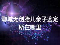 聊城无创胎儿亲子鉴定所在哪里