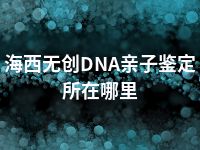 海西无创DNA亲子鉴定所在哪里