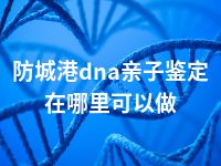 防城港dna亲子鉴定在哪里可以做