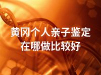 黄冈个人亲子鉴定在哪做比较好