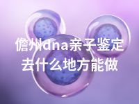 儋州dna亲子鉴定去什么地方能做