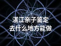 湛江亲子鉴定去什么地方能做