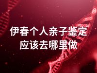 伊春个人亲子鉴定应该去哪里做