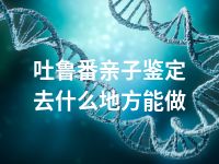 吐鲁番亲子鉴定去什么地方能做