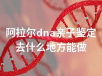 阿拉尔dna亲子鉴定去什么地方能做