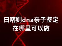 日喀则dna亲子鉴定在哪里可以做